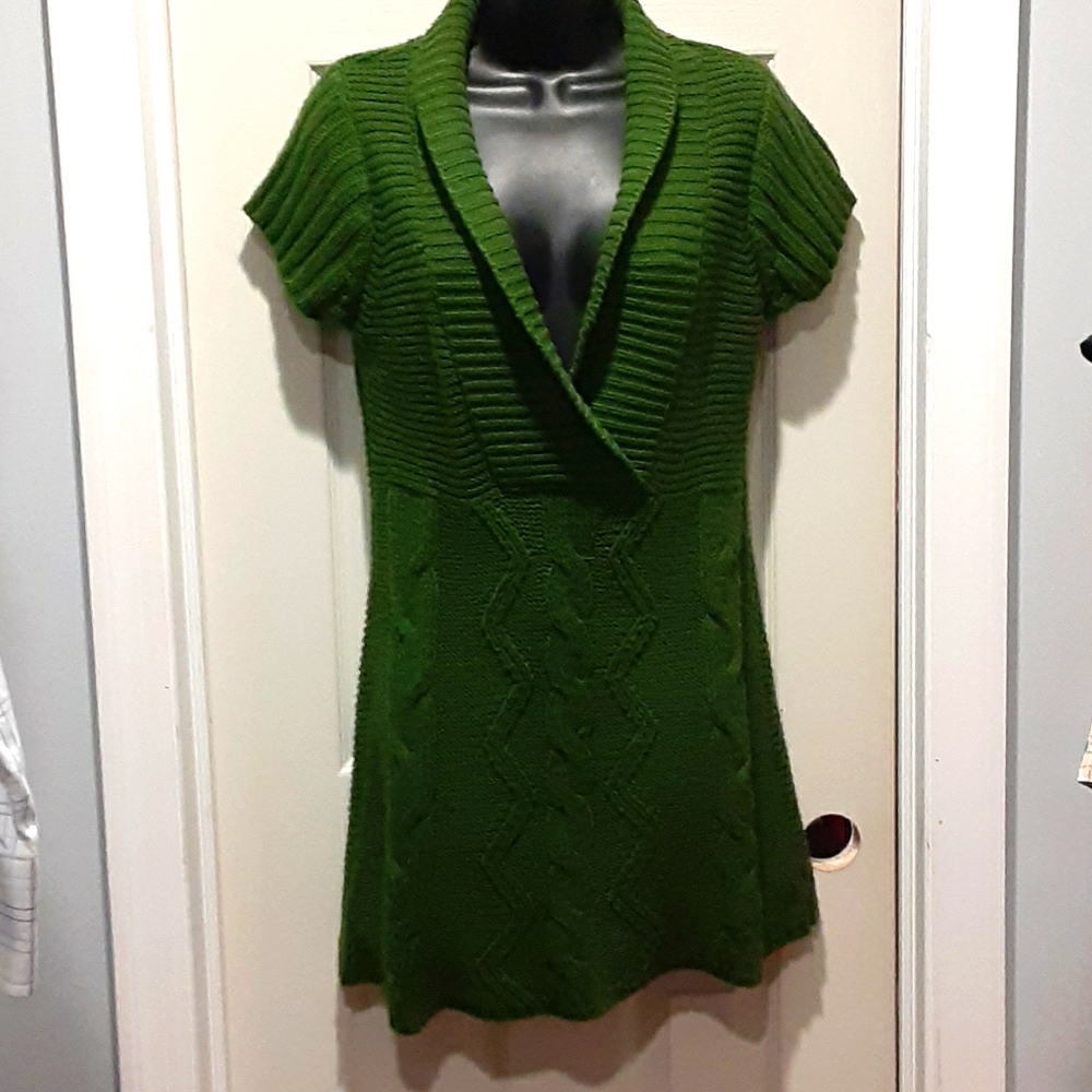 Gorgeous green sweater dress/long top